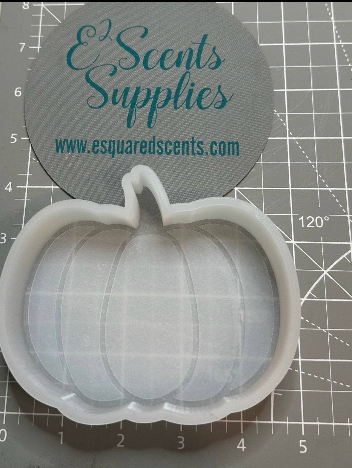Plain Pumpkin Mold