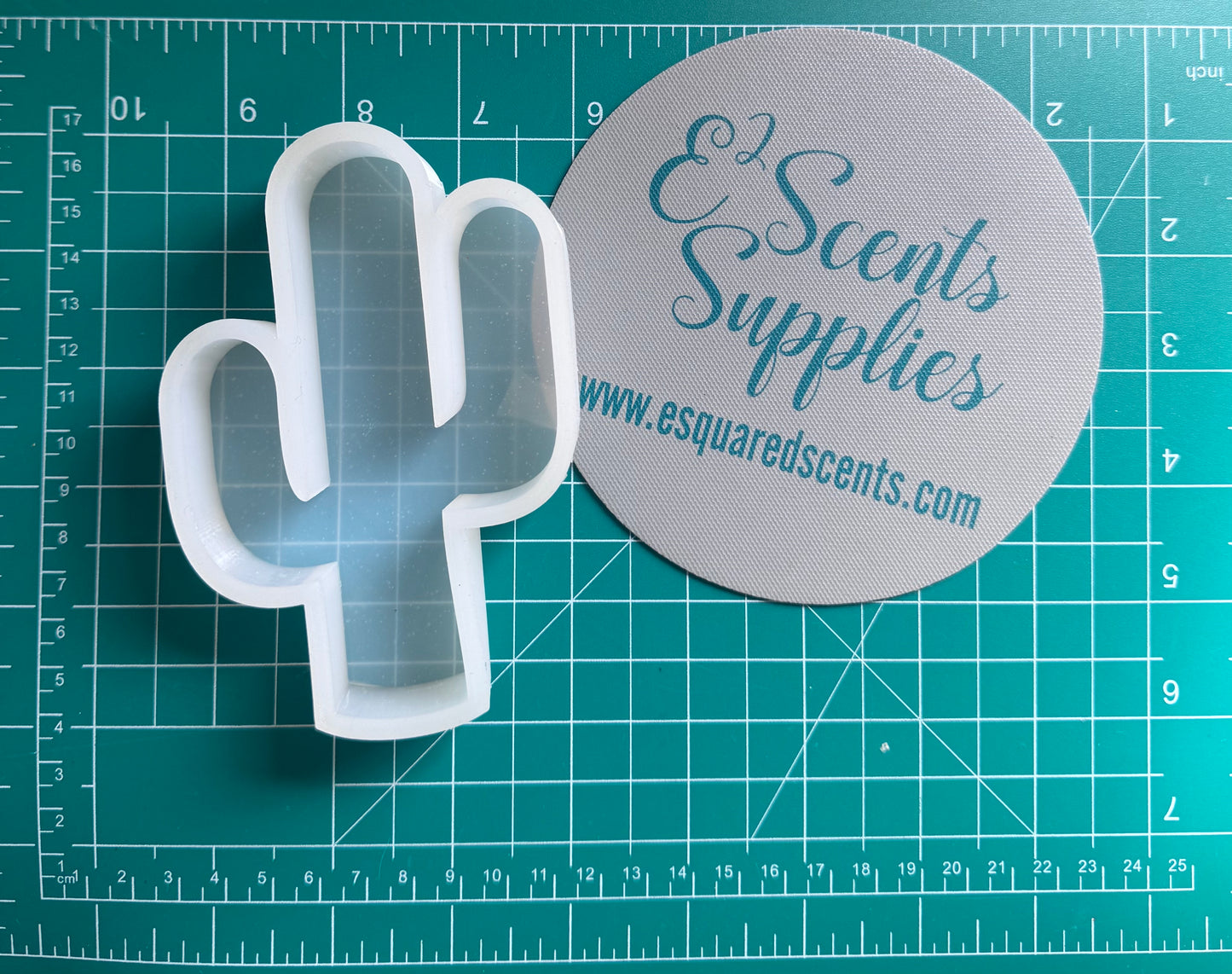 Plain Cactus Mold
